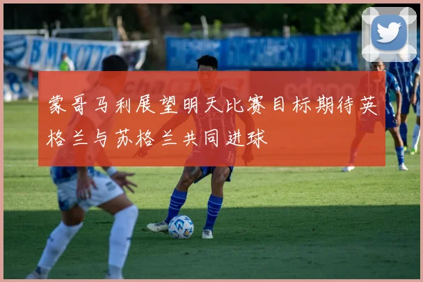 蒙哥马利展望明天比赛目标期待英格兰与苏格兰共同进球
