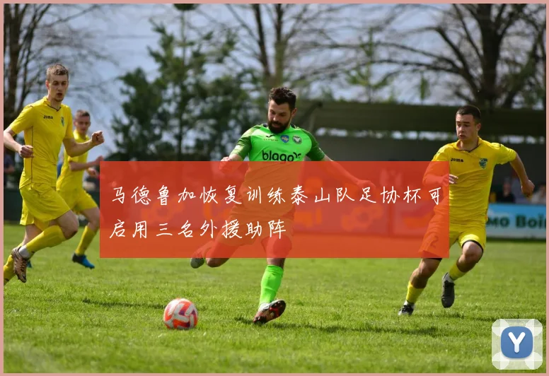 马德鲁加恢复训练泰山队足协杯可启用三名外援助阵
